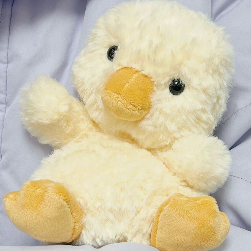 Cute Yellow Duck Plush Toy