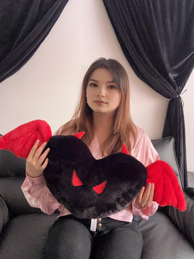 Devil's heart pillow and model