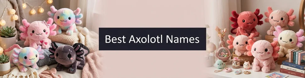 Best Axolotl Names PlushThis blog feature picture