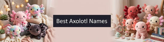 Best Axolotl Names PlushThis blog feature picture