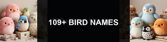 109+ Bird Names PlushThis blog feature picture