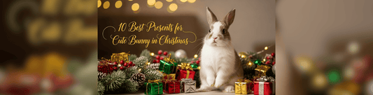 10 Best Presents for Cute Bunny in Christmas