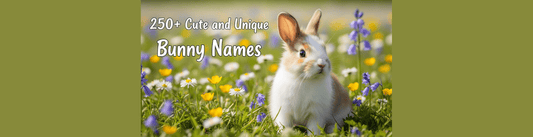 250+ Cute and Unique Bunny Names