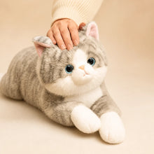 Grey Tabby Cat Plush Toy Being Petted