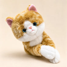 Orange Tabby Cat Plush Toy Peeking View
