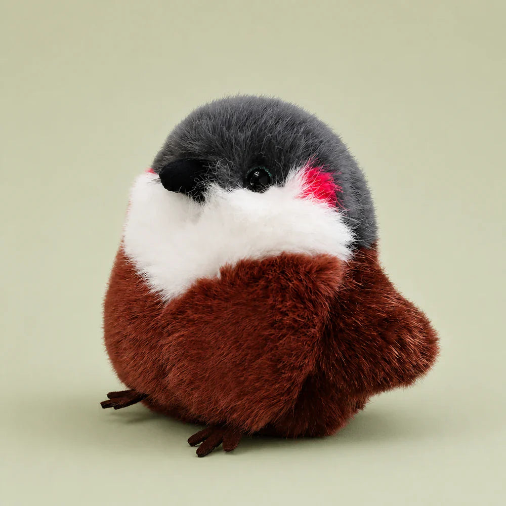 Brown Robin Plush - Studio View