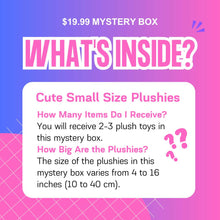 Plush Mystery Box