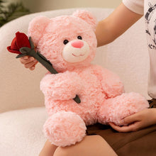 Cute Pink and Brown Bear Stuffed Animal with A Rose