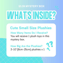 Plush Toys Mystery Box