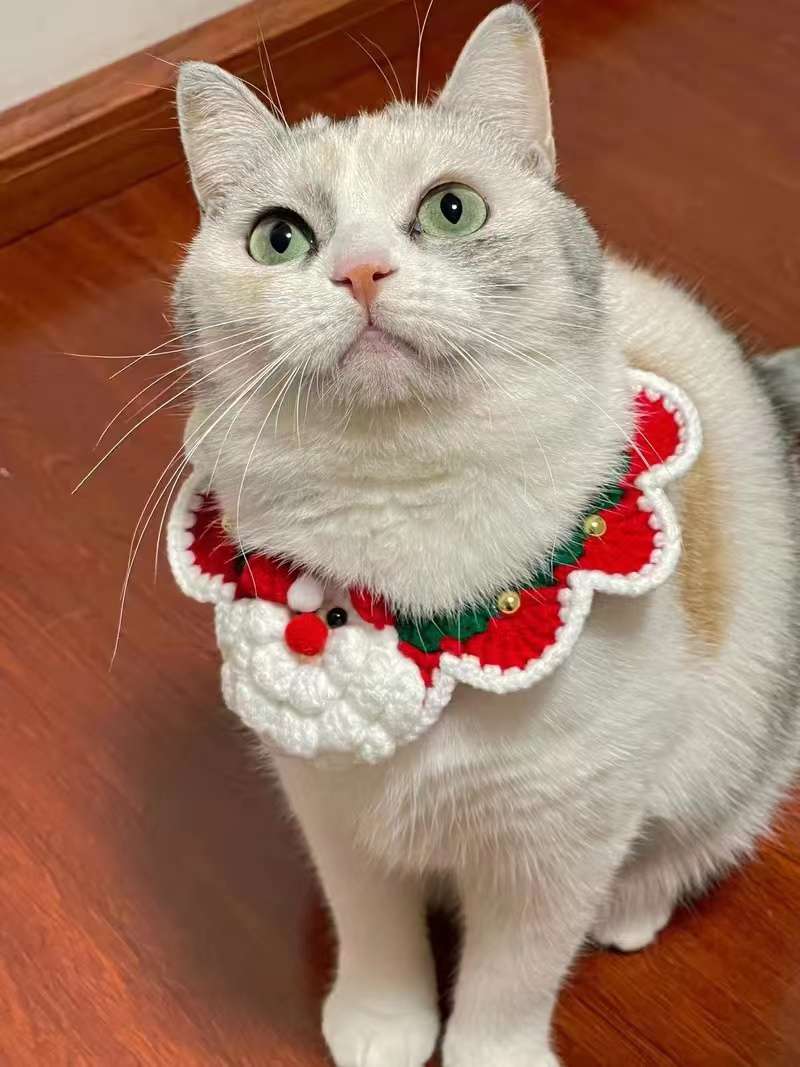 Creative Pet Christmas Collars