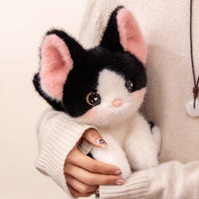 Cute  Cat Stuffed Animal