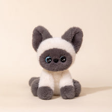 Cute  Cat Stuffed Animal