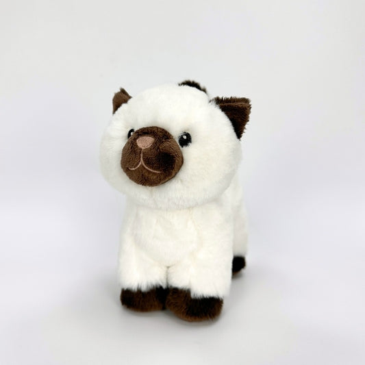 Cute Mini White and Dark Brown Siamese Cat Stuffed Animal, a cute plush toy, front view