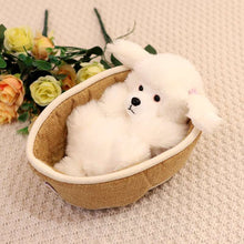 Cute Teddy Puppy Plush