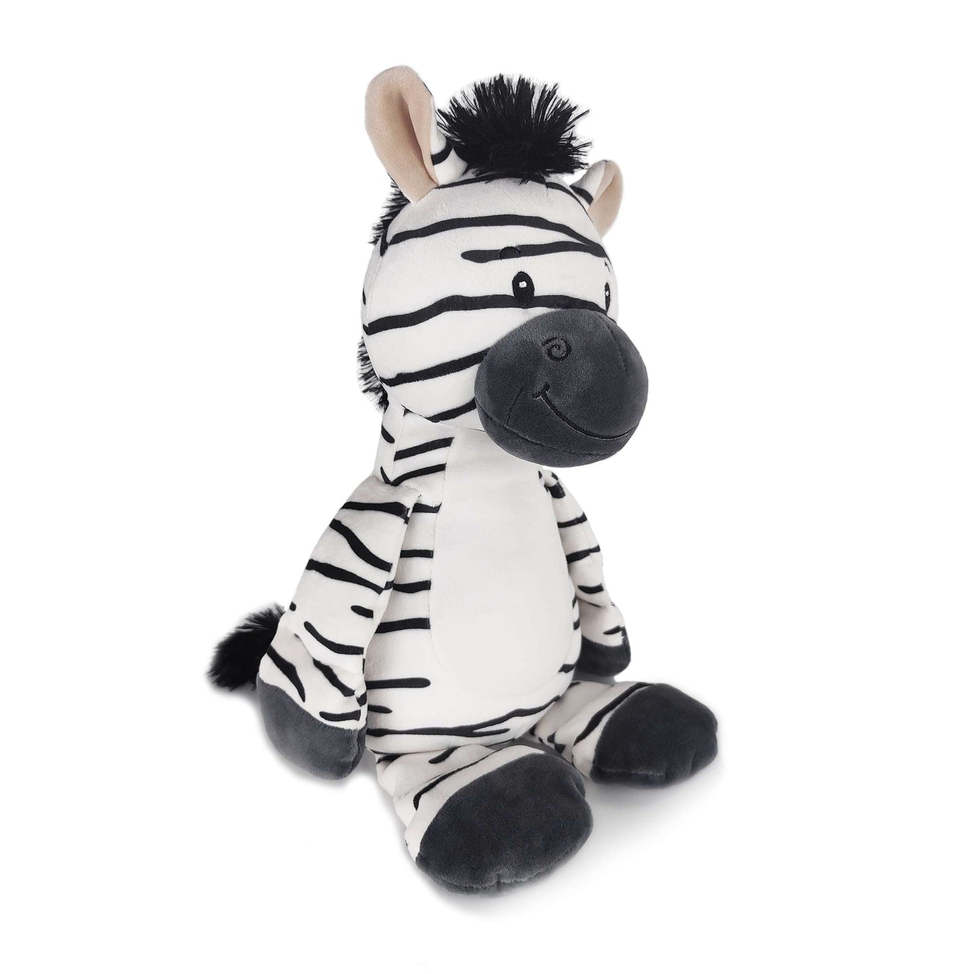 Cute Cartoon Zebra