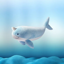 A narwhal swimming in the water