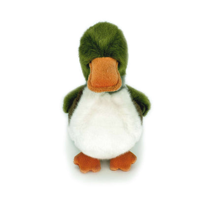 Green Elegant Cute Duck Front