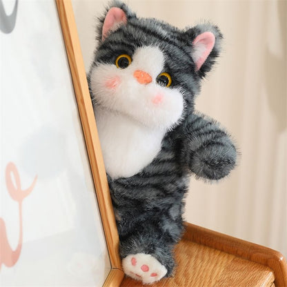 Kawaii Chubby Cat Plush