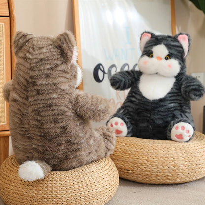 Kawaii Chubby Cat Plush