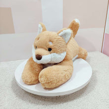 kawaii brown Shiba Inu