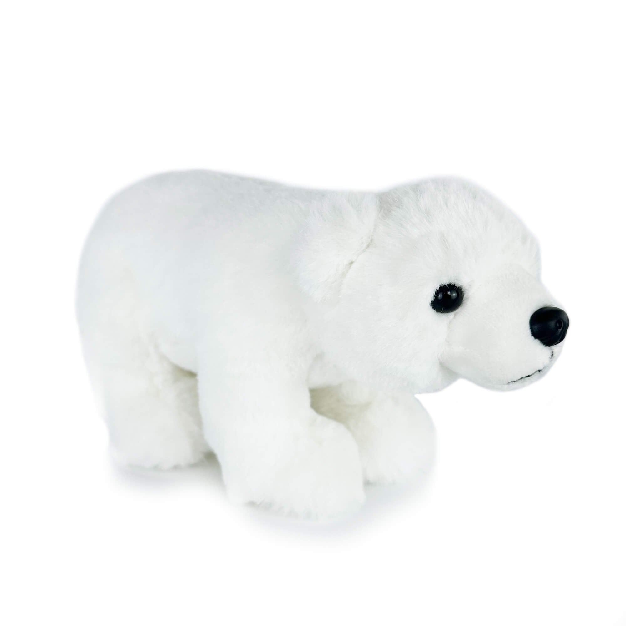 Cute Realistic Polar Bear Stuffed Animal - PlushThis