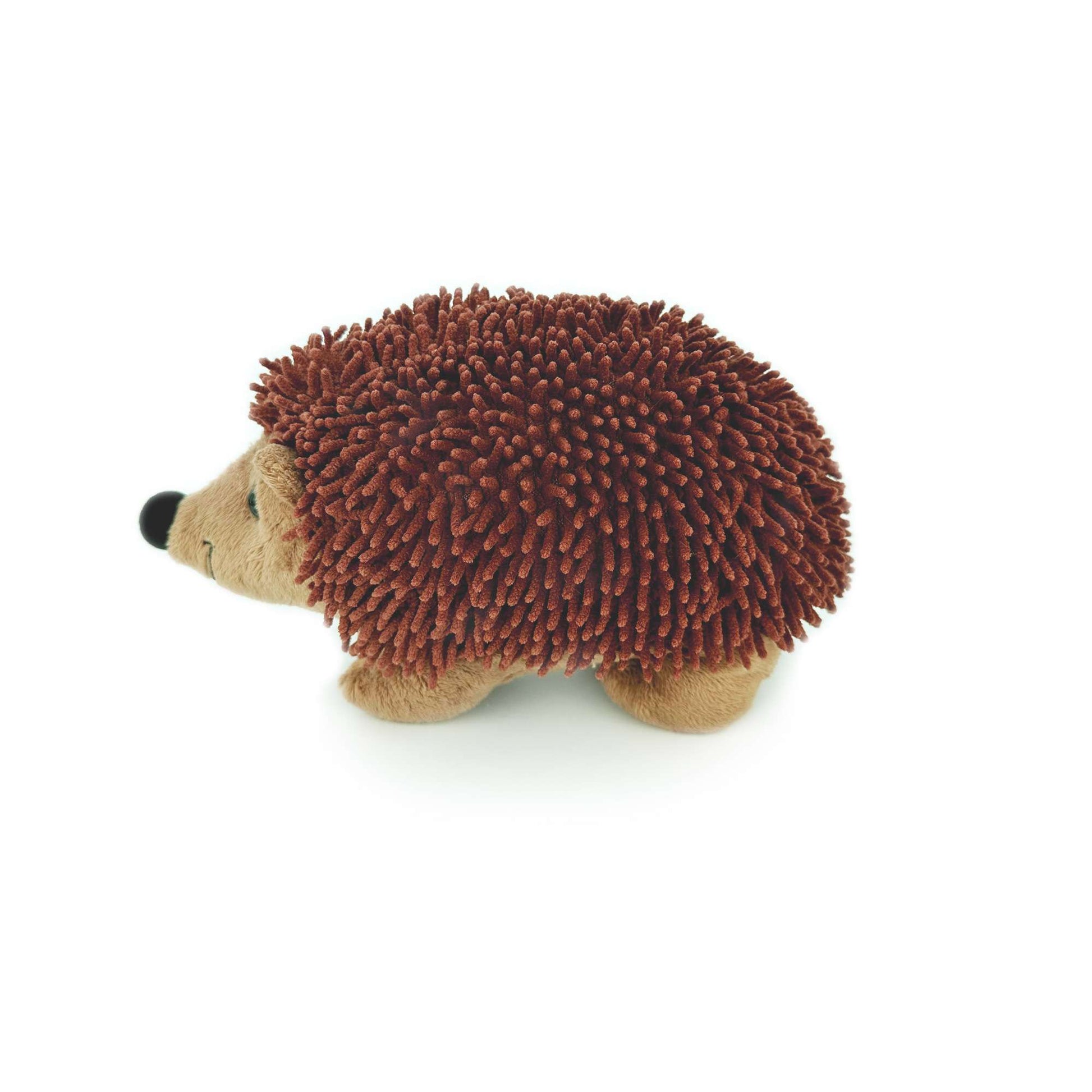 Side-view-of-hedgehog