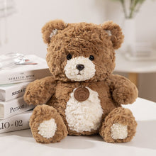 Warm Brown & Creamy Beige Teddy Bears
