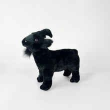 Stuffed white or black goat