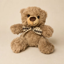 Brown Checkered Bow Teddy Bear Plush Relaxed Front View