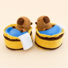Capybara Sleeping Basket Plush Duo Front View