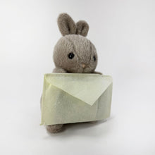Cute Rabbit Plush with Envelope