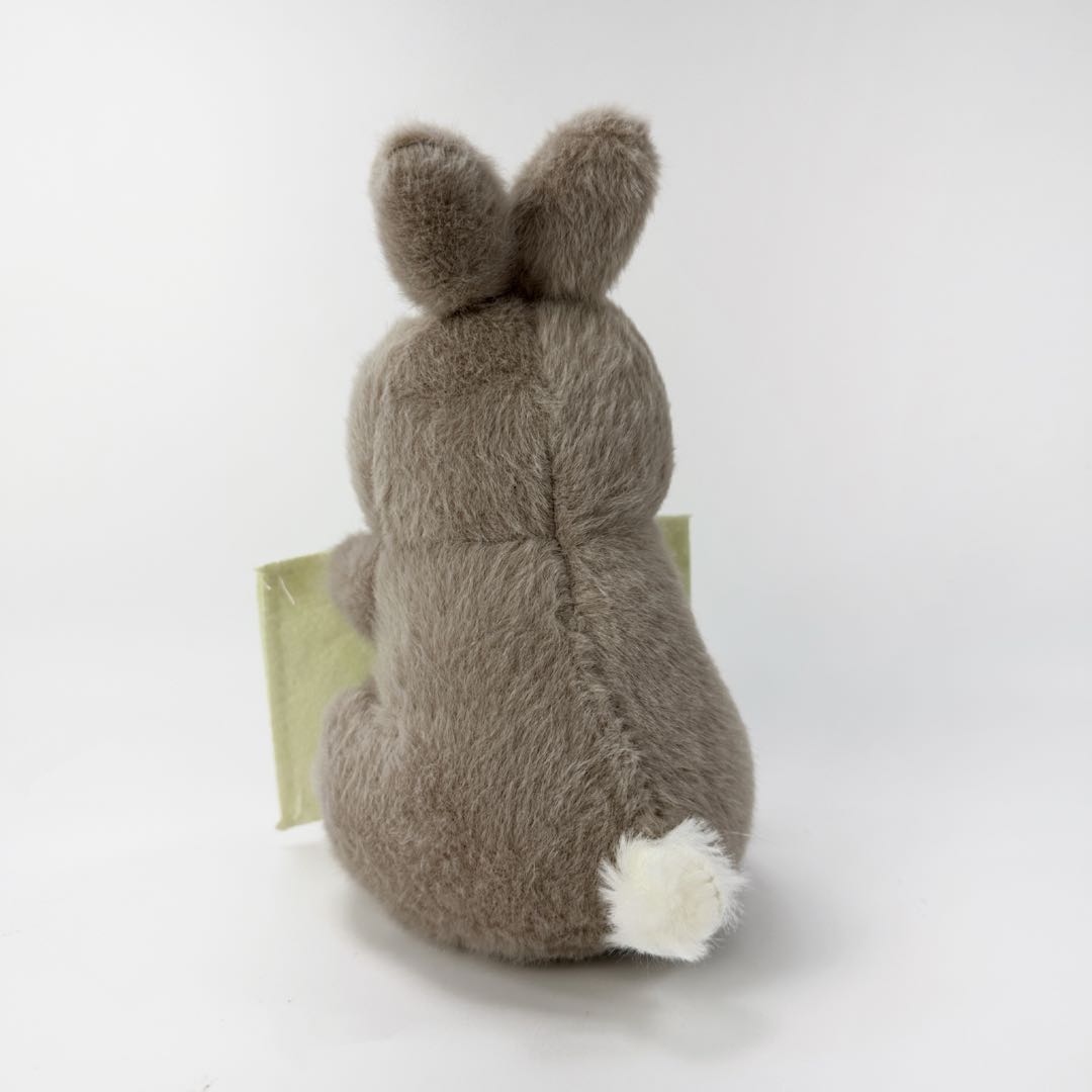 Cute Rabbit Plush with Envelope