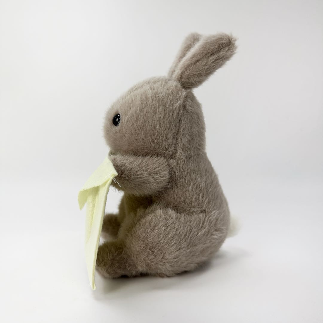 Cute Rabbit Plush with Envelope