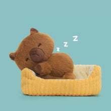 Cute Sleeping Stuffed Animals in Beds