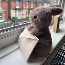 Cute Rabbit Plush with Envelope