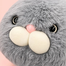 Fluffy Cat Plush Grey Face Detail