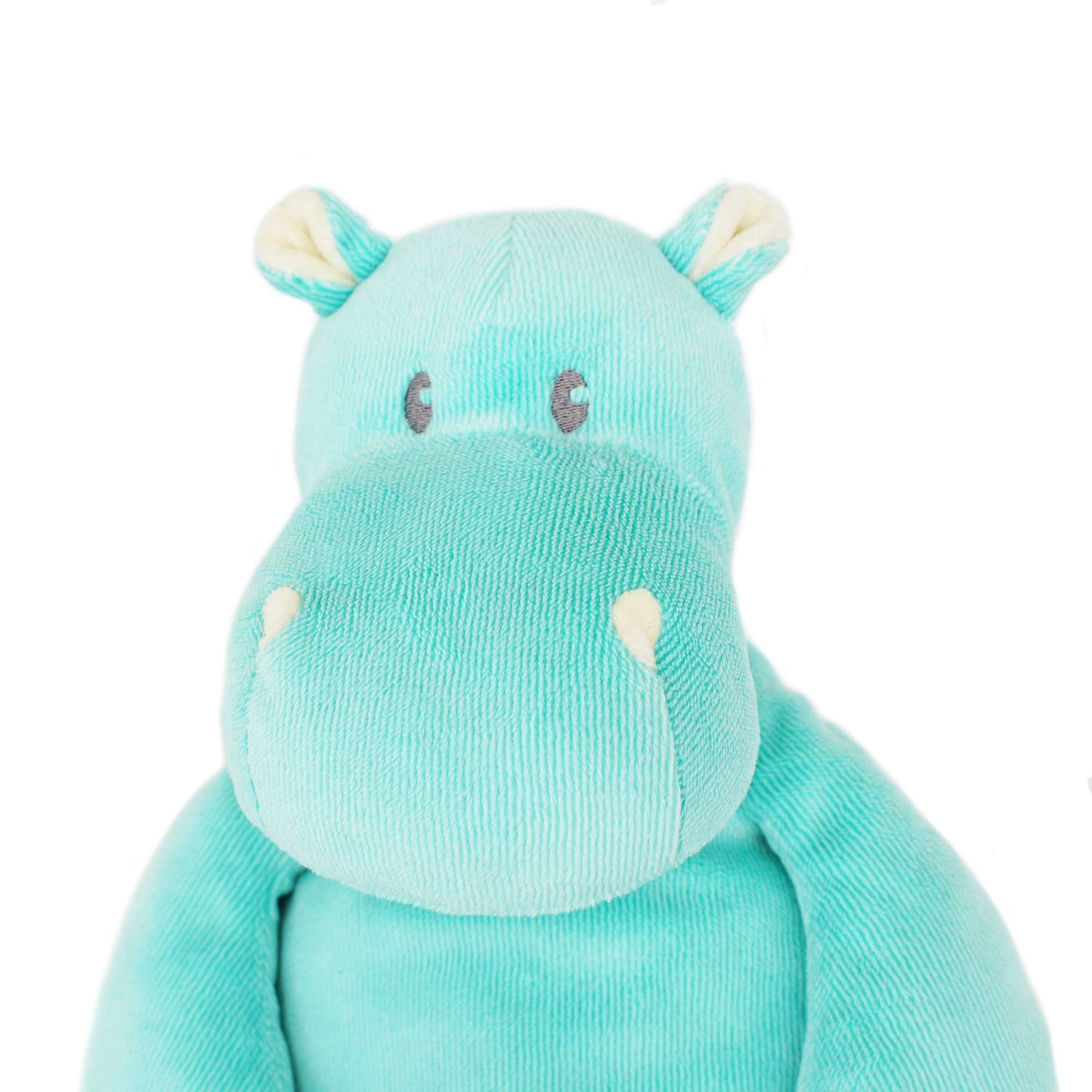 the face of a Chubby Hippo Stuffed Animal