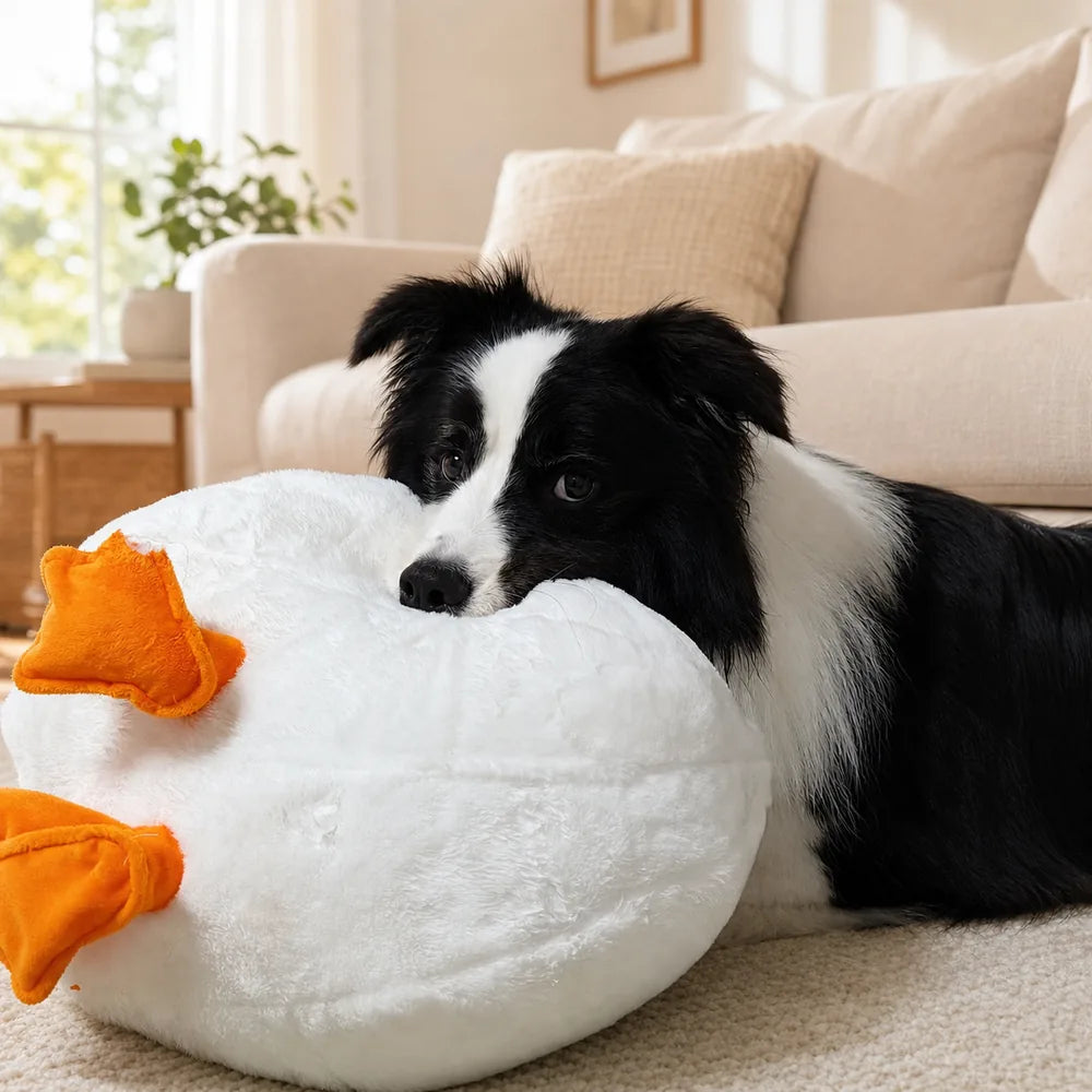 White Duck Plush with Border Collie Companion