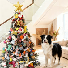 Premium Puppy Toy Mystery Box