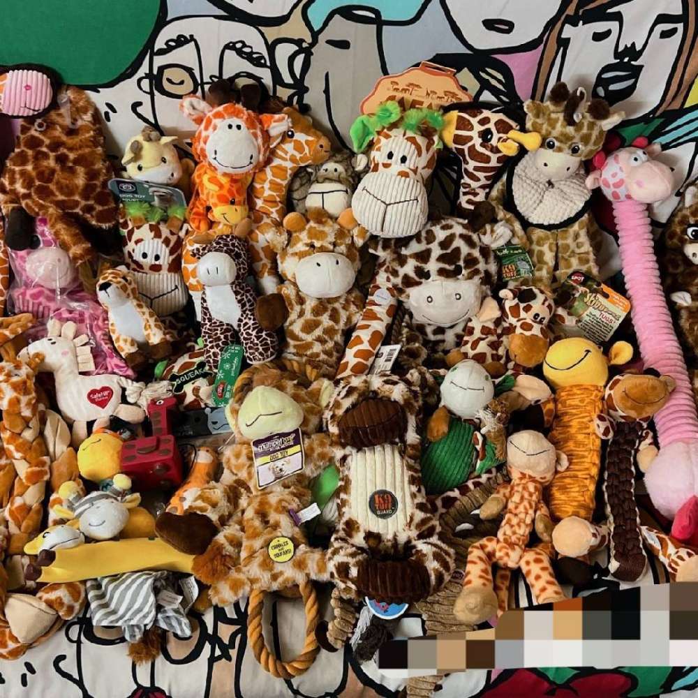 Premium Puppy Toy Mystery Box