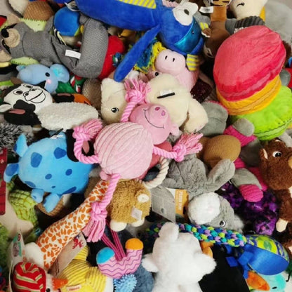 Premium Puppy Toy Mystery Box