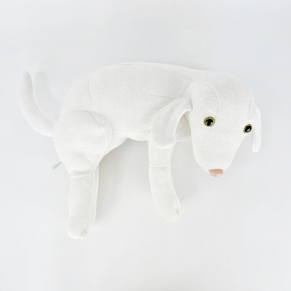 Free New Product Trial