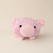 Pink Pig Plush - Front View