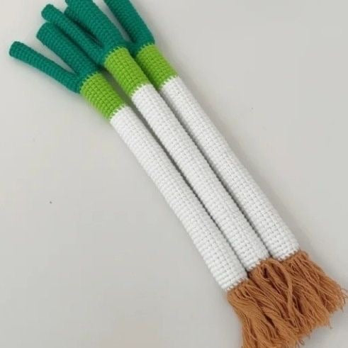 Scallion Crochet DIY Kit