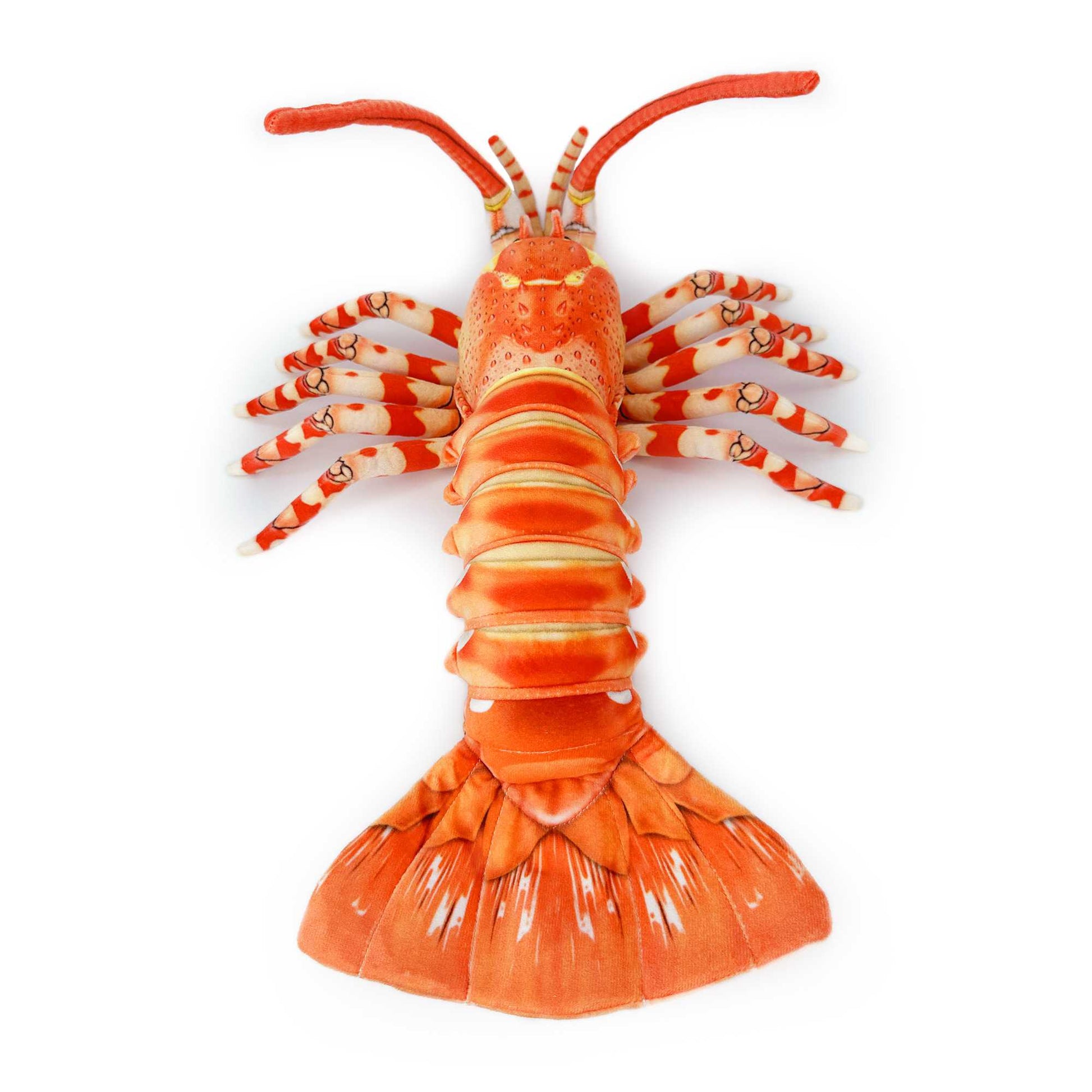 southern rock lobster Jasus edwardsii stuffed animal