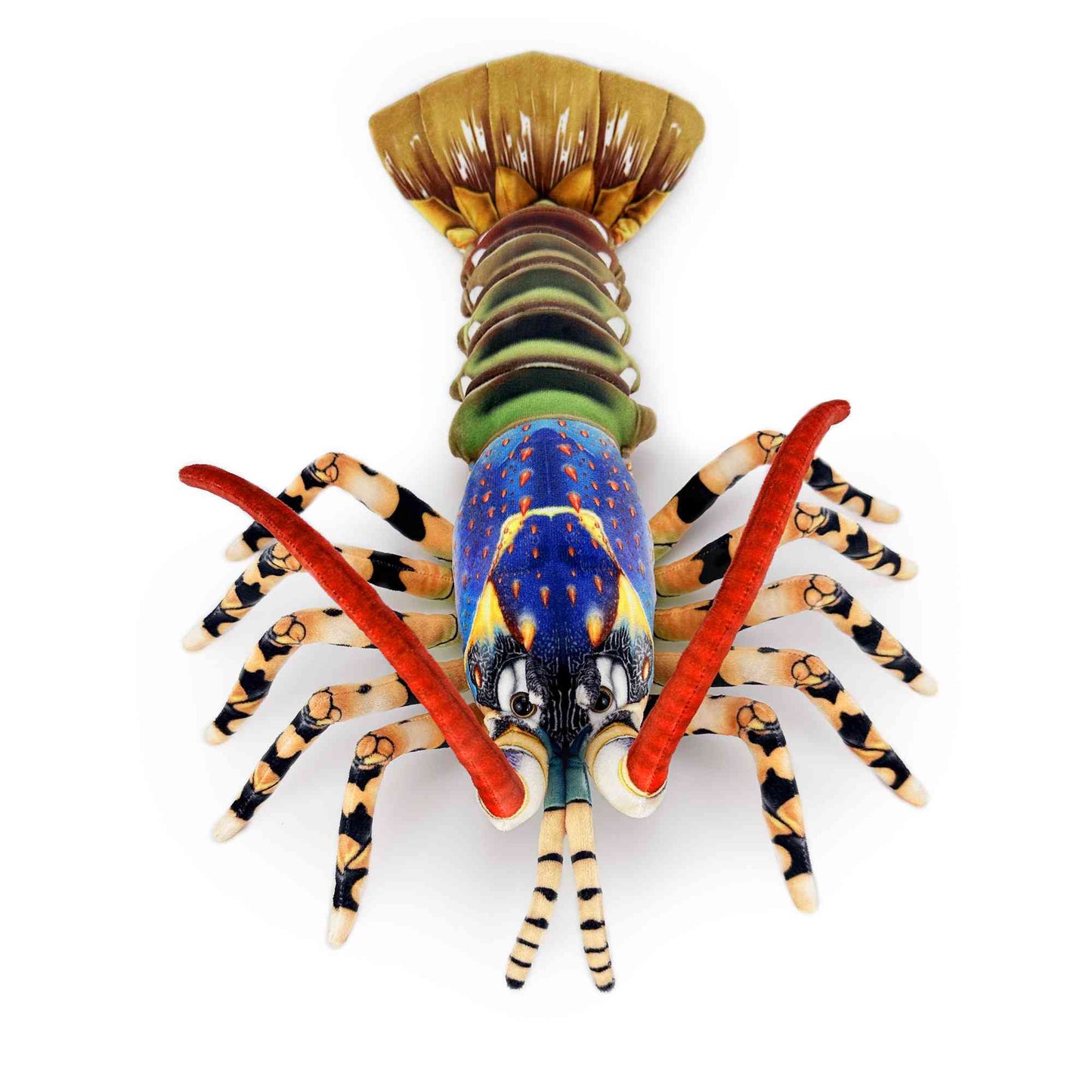 tropical rock lobster Panulirus ornatus realistic stuffed animal