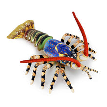 tropical rock lobster Panulirus ornatus